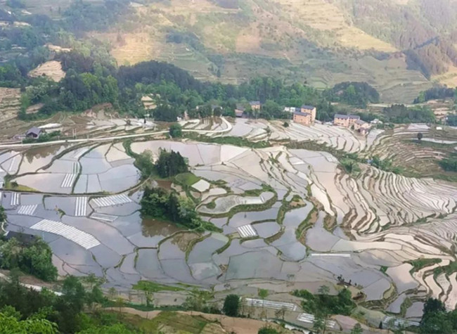 Chongqing's Splendid Terraces Await You to Experience an Idyllic Life