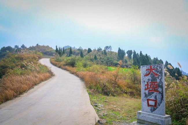 Chongqing Qijiang to Provide Talents for Rural Revitalization丨Rural Revitalization