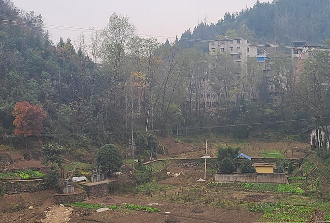 Chongqing Yunyang to Create a Qingshui Vacation Tourism Brand丨Rural Revitalization