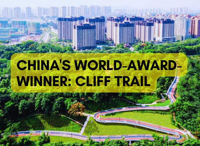 Strolling on Chongqing's Cliff Trail Park with its Designer | Live Replay