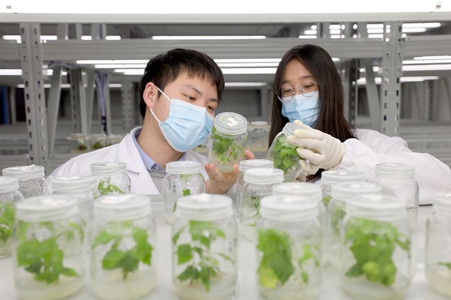 Chongqing Strives to become the Silicon Valley of Western China