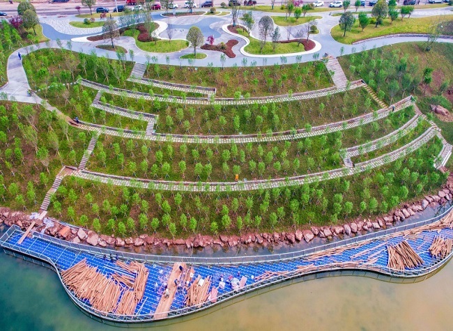 Science City Lake Scenery Back after Ecological Restoration