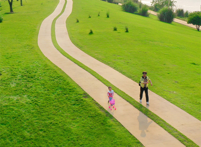 Visual Chongqing | Nano-ecological Trail