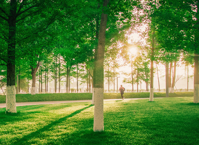 Visual Chongqing | Morning Tune