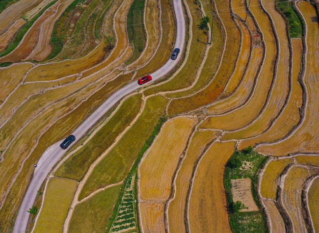 Visual Chongqing | Rural Ecology