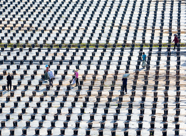 Visual Chongqing | Sowing Happiness