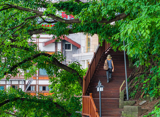 Visual Chongqing | Green in the Mountain City