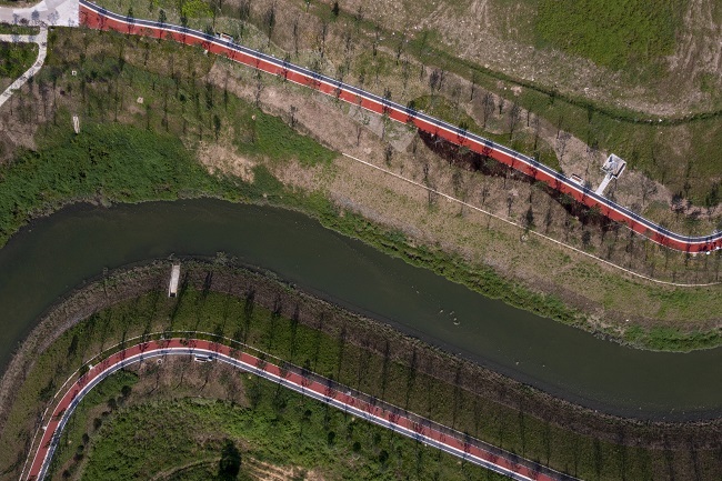 Former 'Stinky Ditch' Turned into Chongqing's Largest Bypass Wetland Park