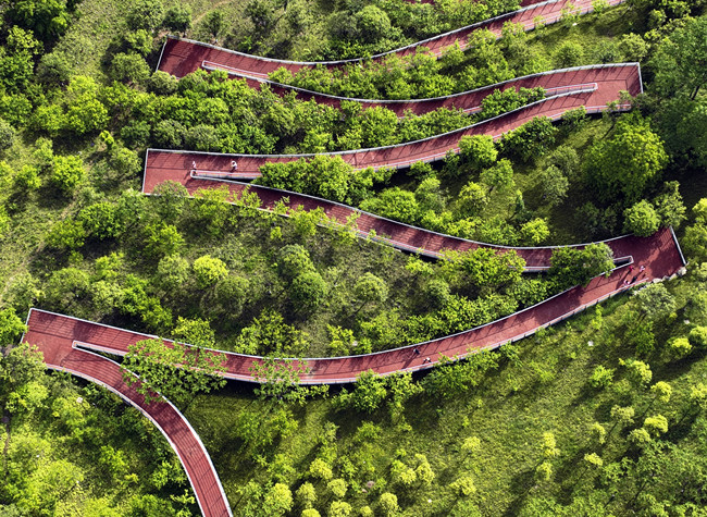 Visual Chongqing | Early Summer