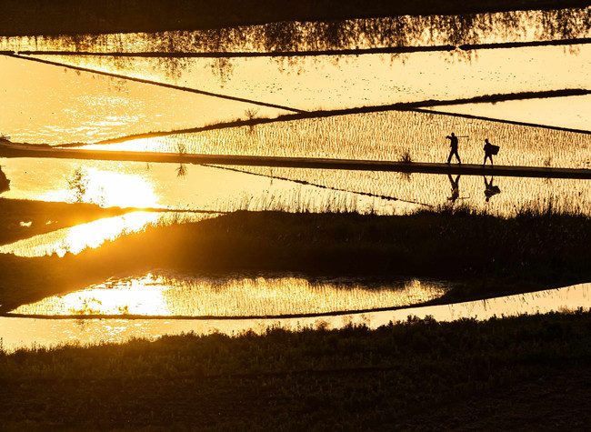 Visual Chongqing | Setting Sun Over the Field
