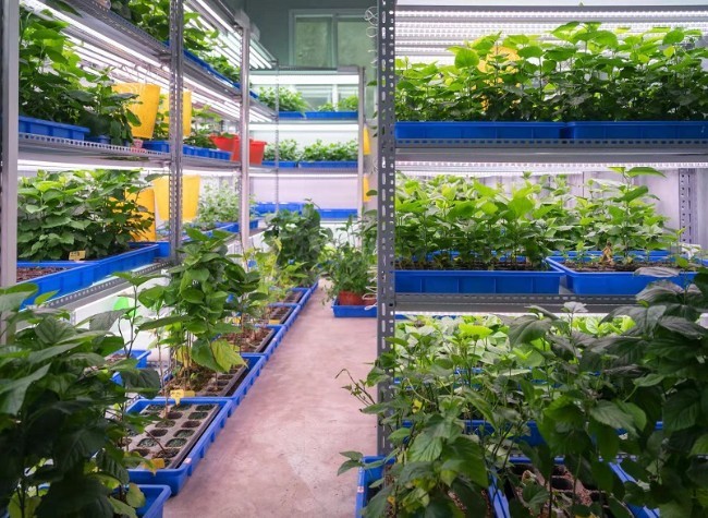 Promoting Biological Breeding Technology, Joining Hands with Tianfu New Area | Delegate Story