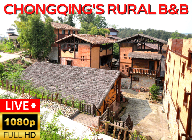 Hundred-Year-Old Rural Houses Restored as B&B and Museums | Live Replay