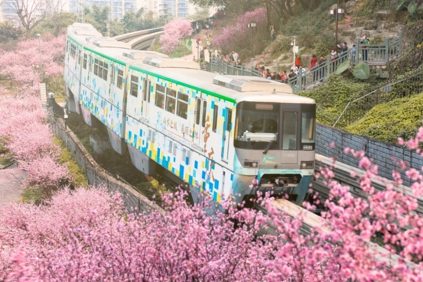 Chongqing now has 11 urban rail transit lines with a mileage of 417 km.