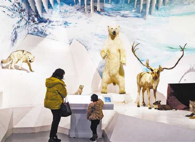 Innovation Helps Unleash the 'Power of Museums' in Chongqing