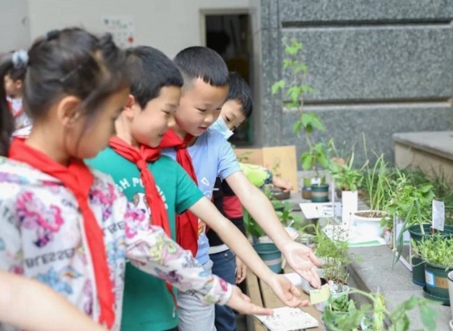 Life Skills Included in China's Compulsory Education Curriculum