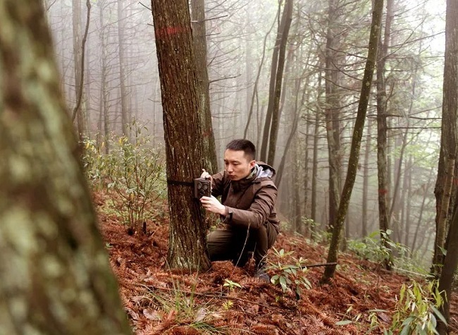 Young Wildlife Enthusiasts Discover Nature in China's Chongqing