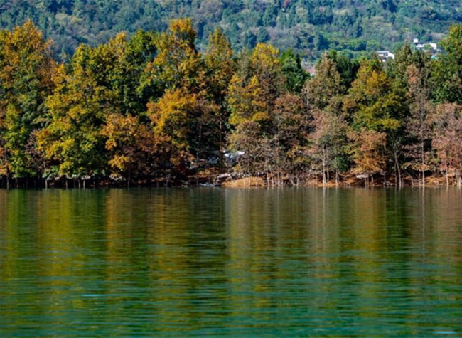 Guard the Three Gorges Reservoir Bank with Forest in the Water