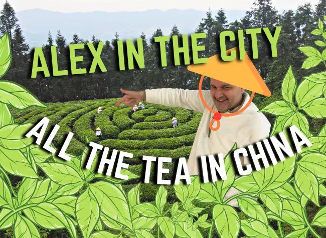 All the Tea in China | Alex in the City