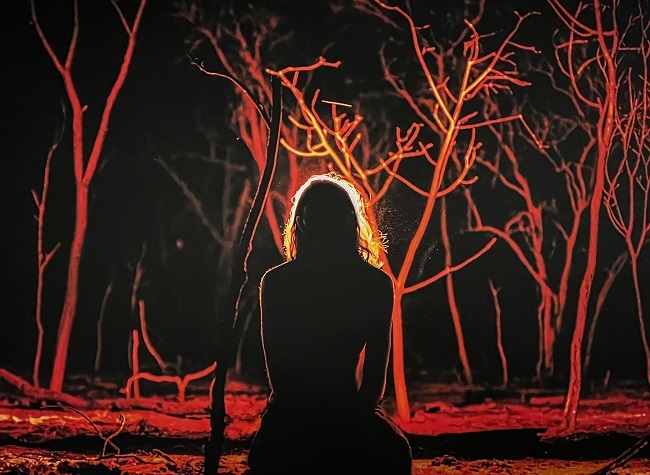 Two Australian Art Exhibitions Highlight  Aboriginal History and Culture