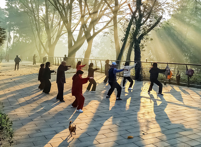 Visual Chongqing | A Morning Stroll