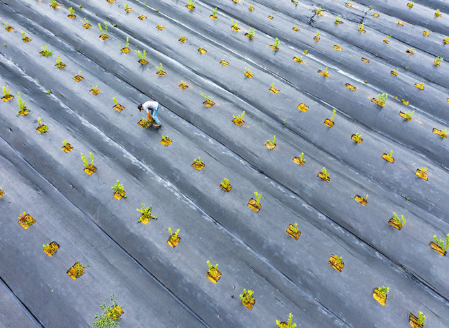 Visual Chongqing | Guarding Hope