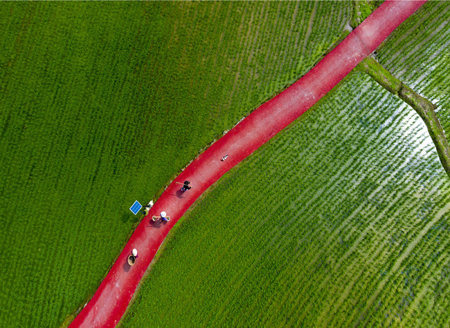 Visual Chongqing | The Pulse of the Earth
