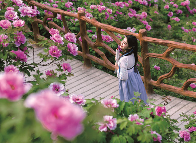 Spring