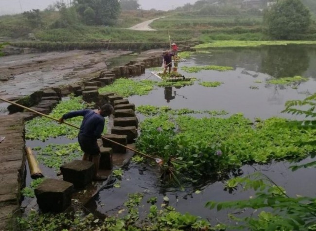 China's Inter-Provincial Joint Office Ensures Unified Water Planning and Management