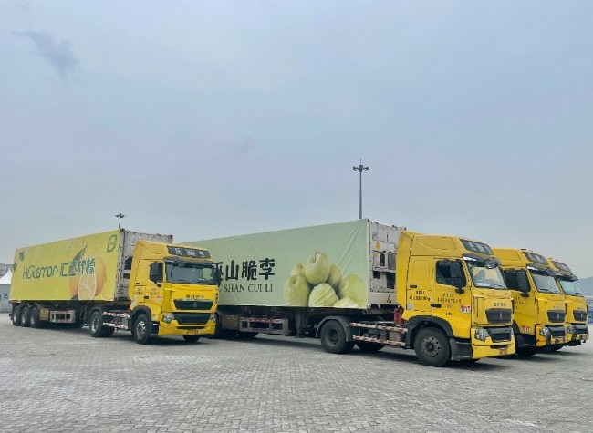 CCI to Witness Multimodal Distribution and Connectivity Center