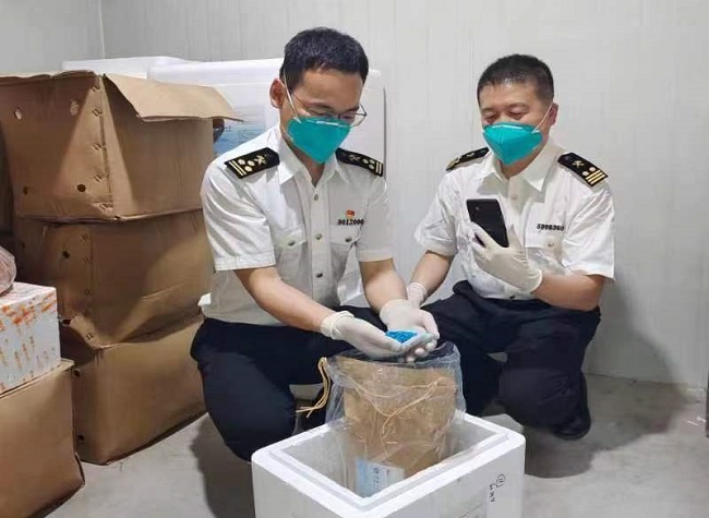 Chongqing Citrus Seeds Exported for the First Time