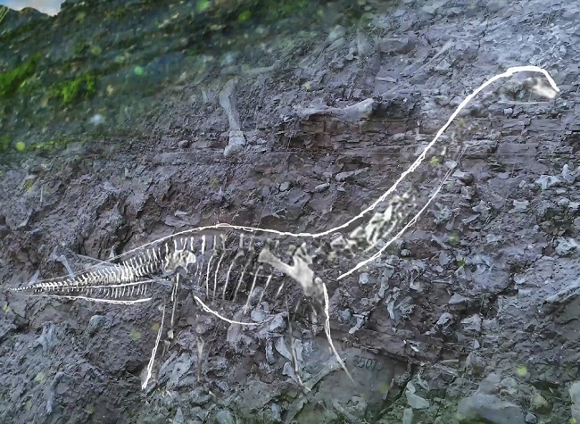 Take the High-speed Railway to Yunyang and Enjoy the Jurassic Park