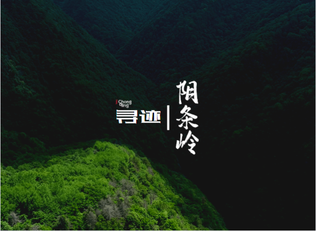 Exploring Yintiaoling National Nature Reserve