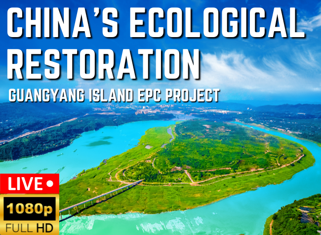 How To Restore The Ecosystem On A Mega Island?| Live Replay
