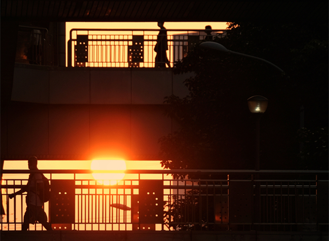 Visual Chongqing | The Morning Silhouette