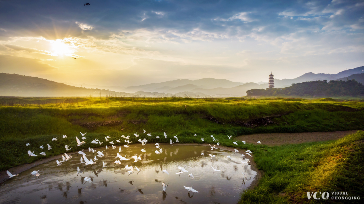 Visual Chongqing The Beautiful Nature Ichongqing