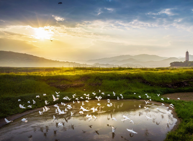 Visual Chongqing | The Beautiful Nature