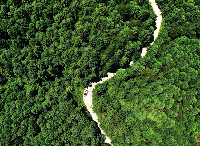 Visual Chongqing | Rhythm of Life