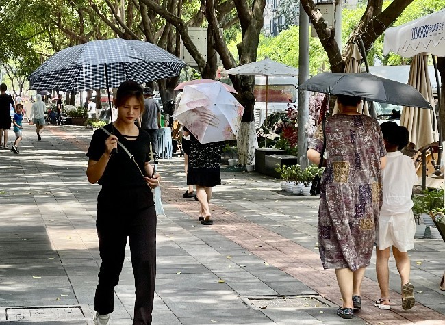 Rainfall on July 16 to Breakup Chongqing's Sweltering Heat Wave!