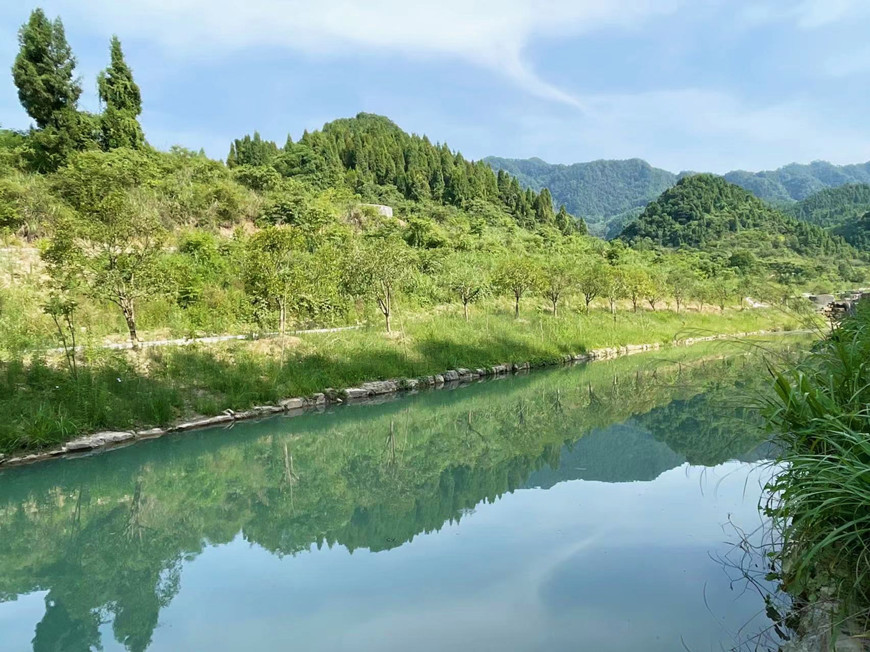 QingmaiLiangyuan