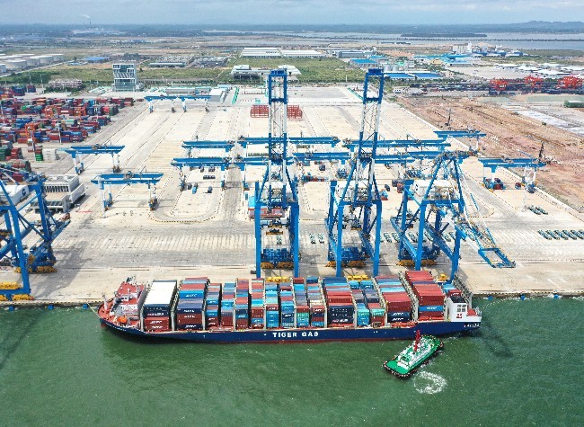 Thanks to RCEP: 70% of Chongqing's Pickles Exports Goes to Member Countries