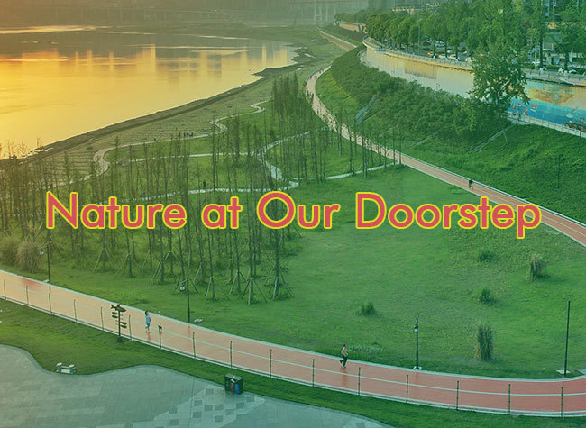 Nature at Our Doorstep