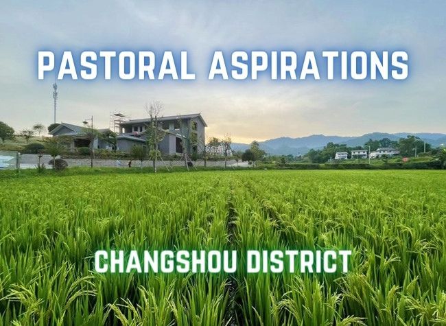 Exploring an Agricultural Disney in China's Countryside |Pastoral Aspirations