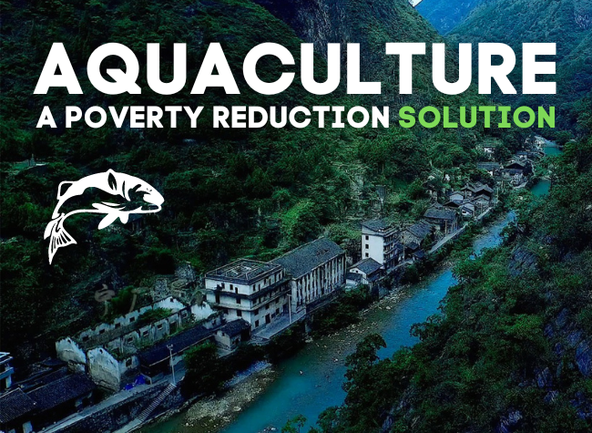 Hongguang Village, Getting Rid of Poverty Through Sturgeon Breeding