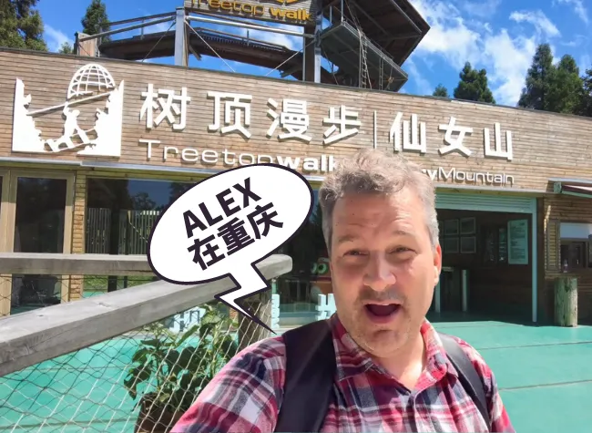 Fairy Mountain Treetop Walk | Alex in the City