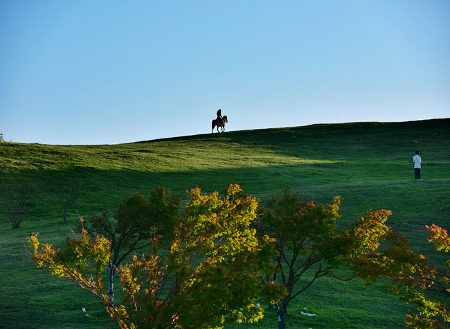 Visual Chongqing | Grassland Scenery