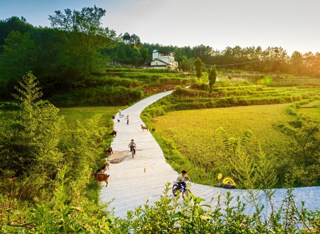 Visual Chongqing | A Picturesque Garden