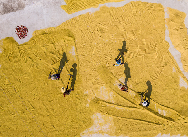 Visual Chongqing | The Figure of Labor