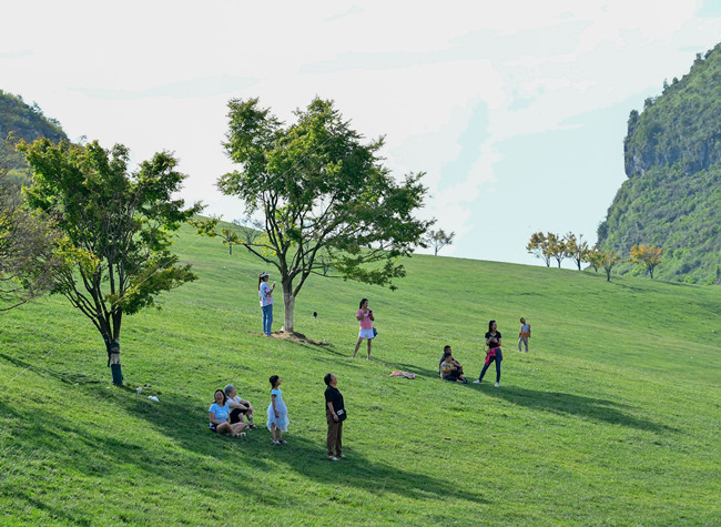 Visual Chongqing | Cool Green