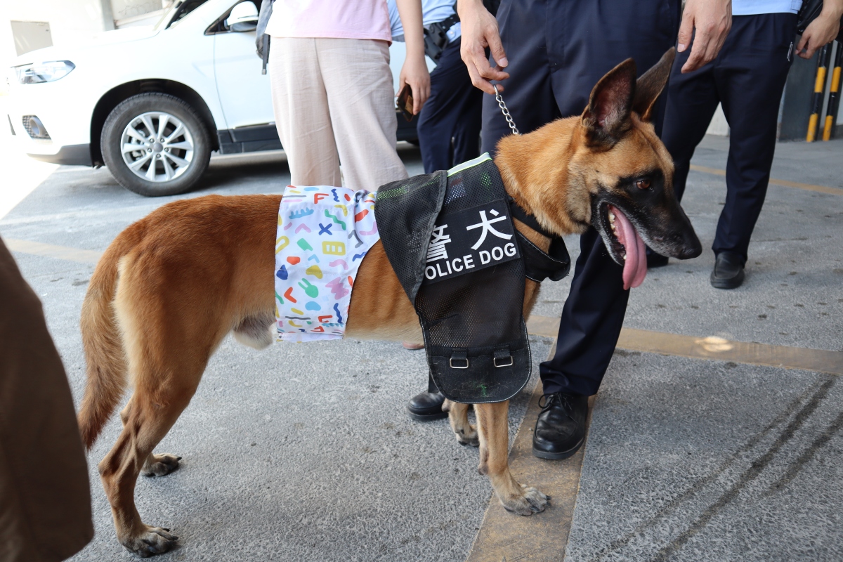 Lightning wearing the new ice bag vest (iChongqing/Mindy)