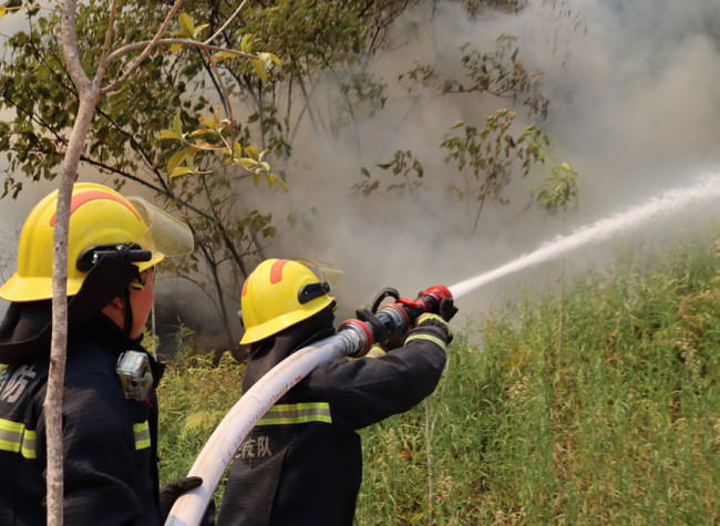 When Tested by Fire, Heat, Pandemic and Drought, Chongqing Stands Stronger Together